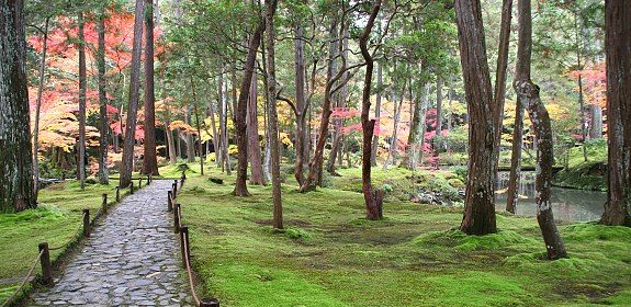 Kyoto_kokedera
