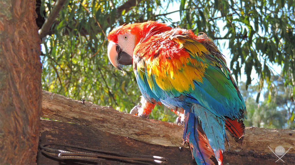 Buenos Aires - Zoo Lujan 1