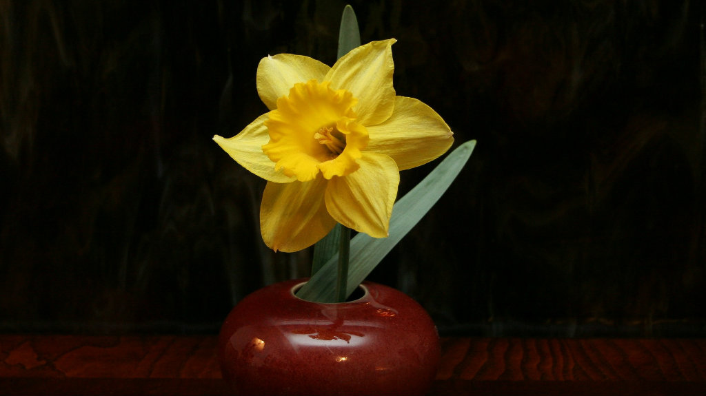 ikebana-22891_1920_Rio-matsuri-2019_Cultura-japonesa_Vida-de-Tsuge_VDT