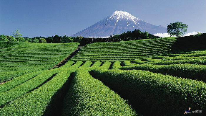 m_104079_monte-fuji_viagem-pro-japao_vida-de-tsuge_vdt