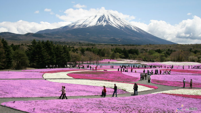 m_158857_monte-fuji_viagem-pro-japao_vida-de-tsuge_vdt