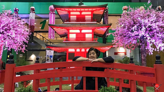 milene-pagoda_cultura-japonesa_vida-de-tsuge_vdt