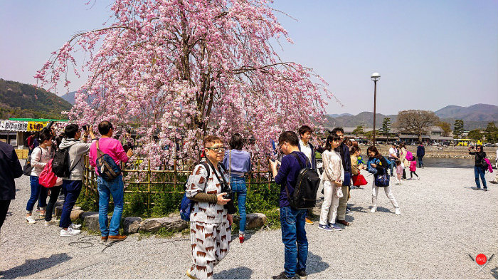 arashiyama-park_3_arashiyama_viagem-pro-japao_vida-de-tsuge_vdt