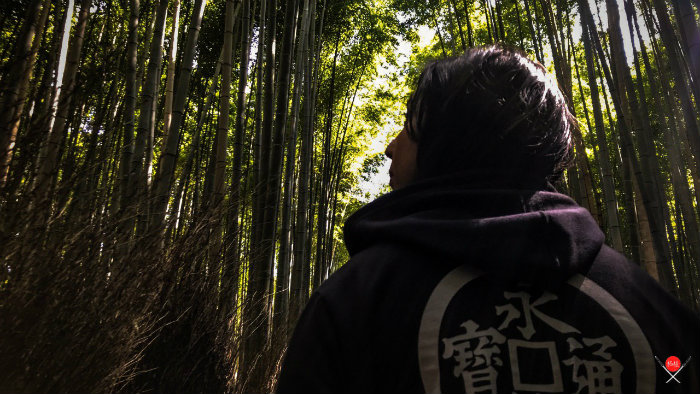 bamboo-forest_2_arashiyama_viagem-pro-japao_vida-de-tsuge_vdt