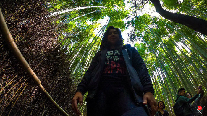bamboo-forest_3_arashiyama_viagem-pro-japao_vida-de-tsuge_vdt