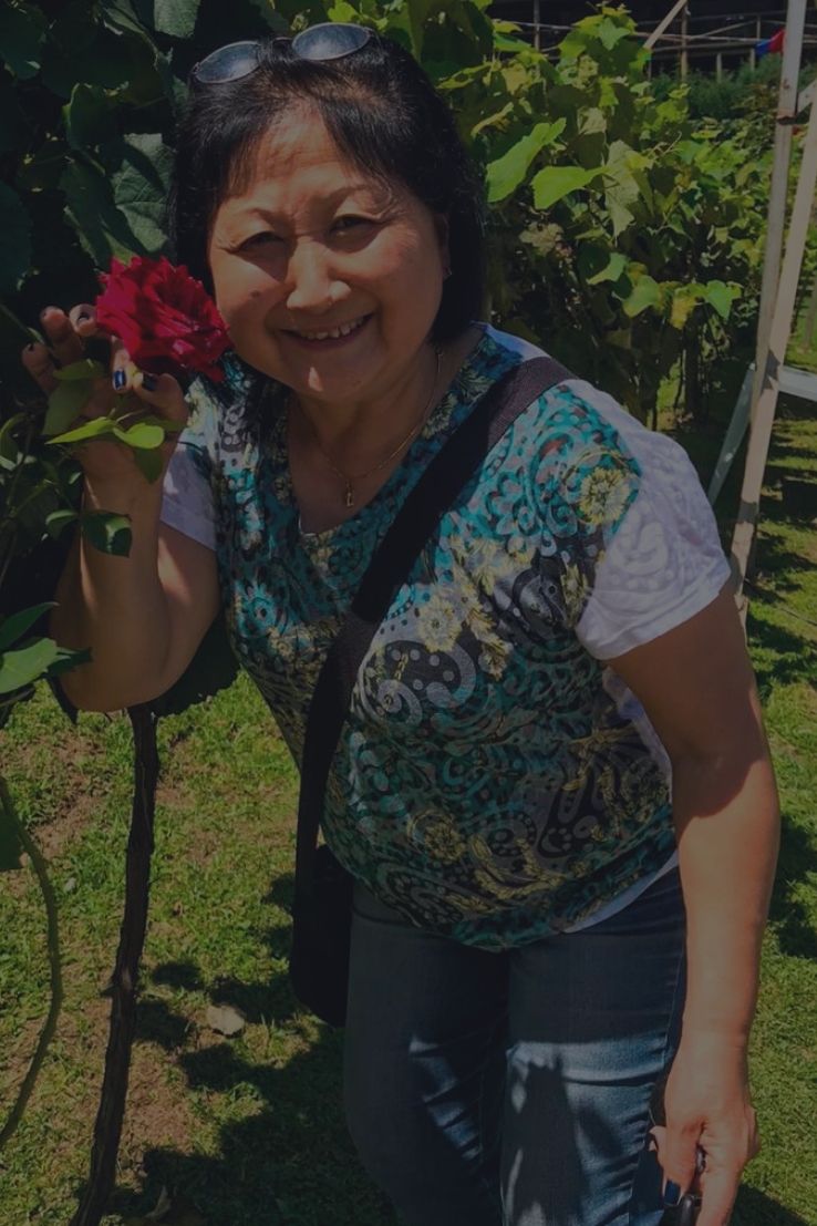 mirian-tatsumi_comunidade-vip-japao-mais-perto-de-voce_vida-de-tsuge_vdt