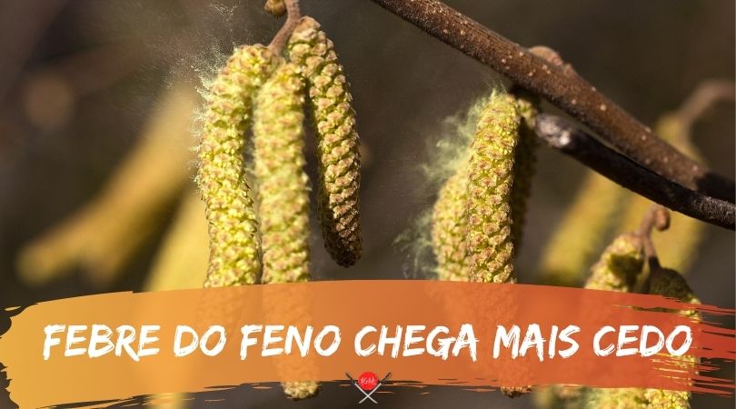 capa_febre-do-feno_vidadetsuge
