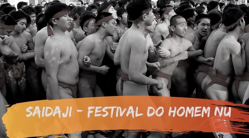 capa_festival-do-homem-nu_vidadetsuge