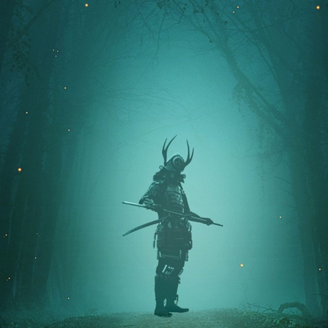 Rota Samurai Capa de Livro