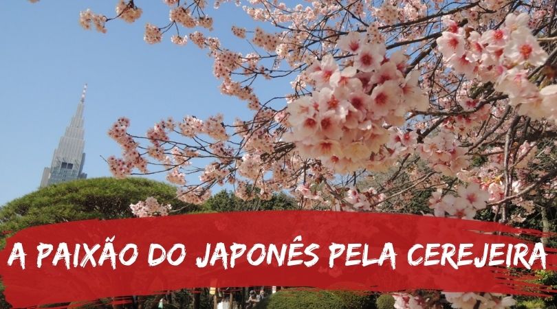 capa2_cerejeira_japao-com-tsuge