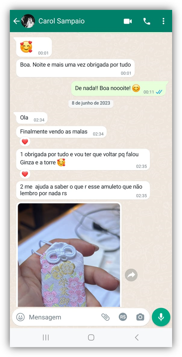 Carol Sampaio - resumobg